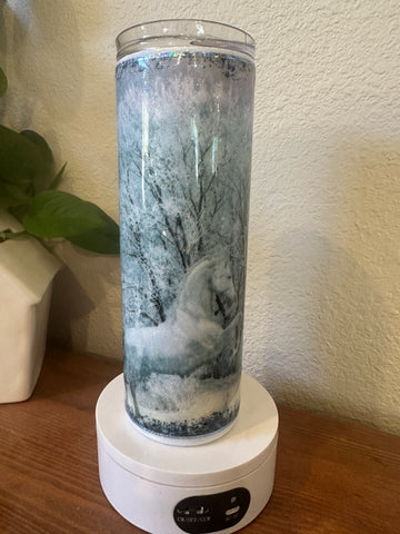 Winter Horse - Its Show Thyme