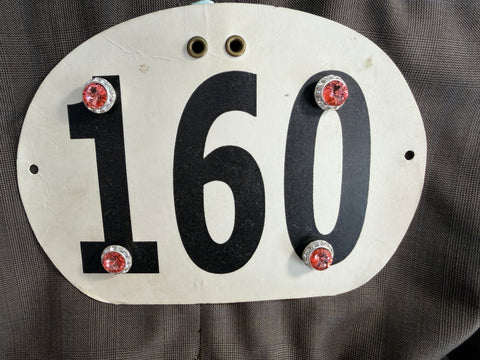 Lt. Padparadscha Magnetic Number Pin - Its  Show Thyme