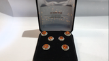 Show Set  matching 15mm Magnets and 13mm Earrings - Its  Show Thyme